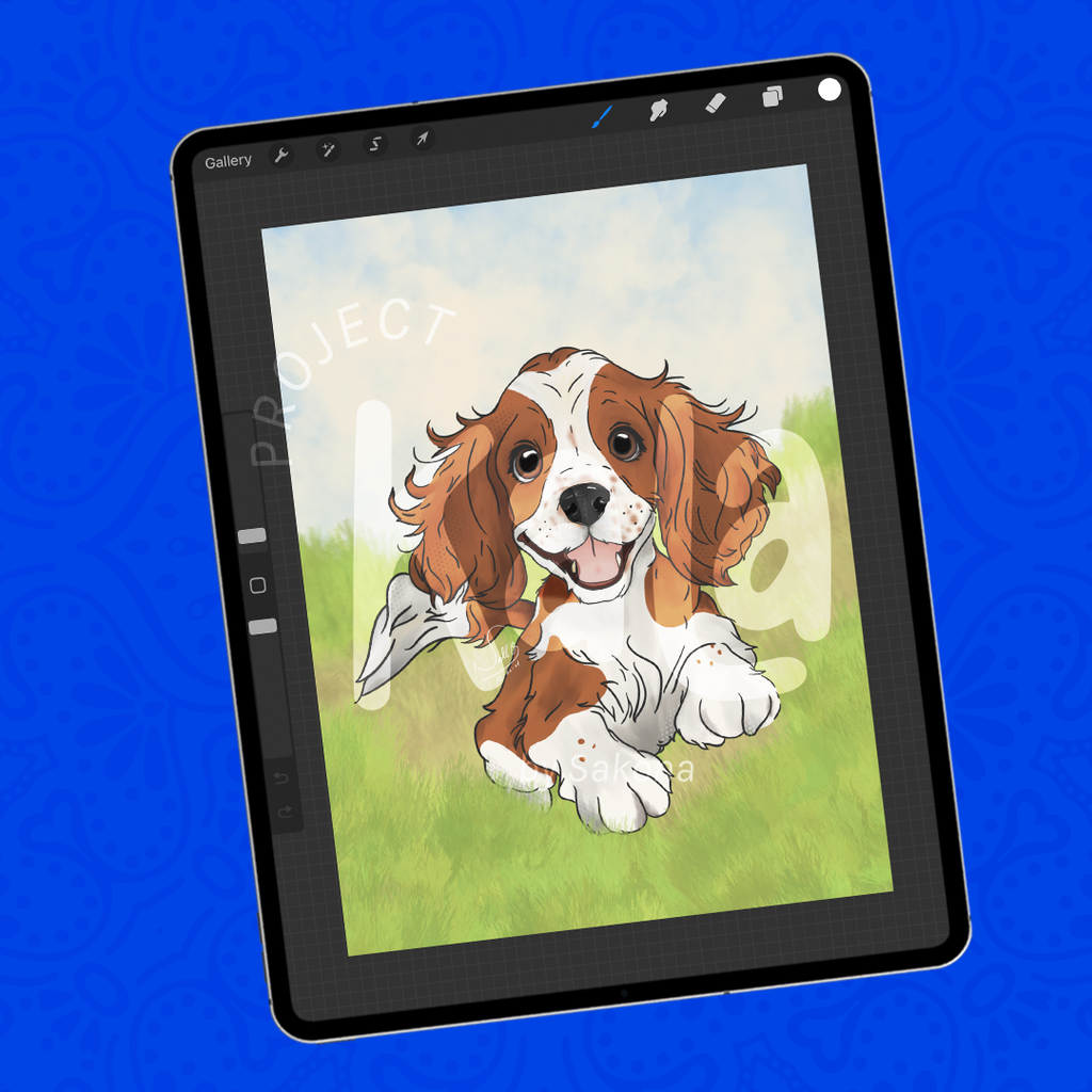 Portrait + Pocketbook