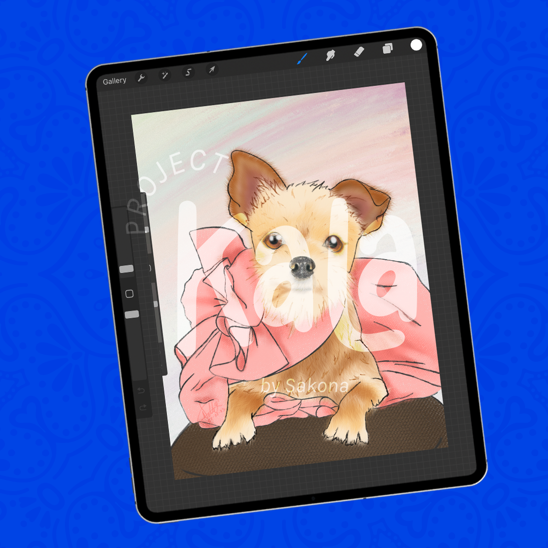 Portrait + Pocketbook