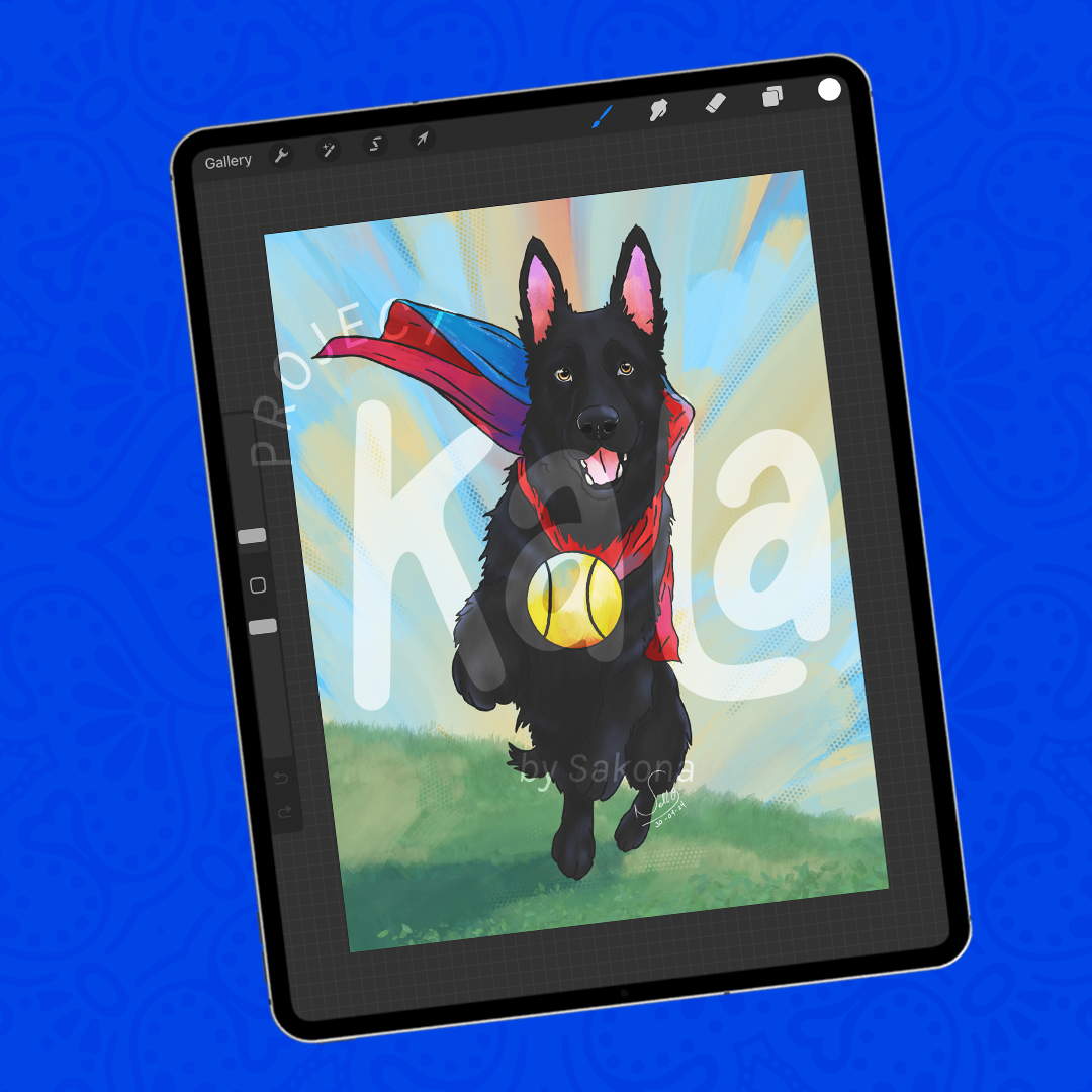 Portrait + Pocketbook