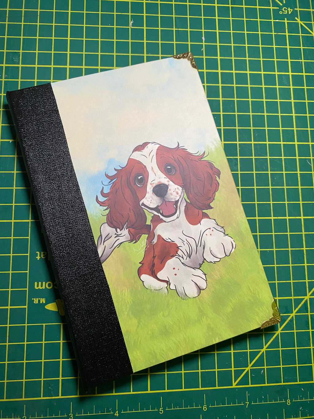 Portrait + Pocketbook