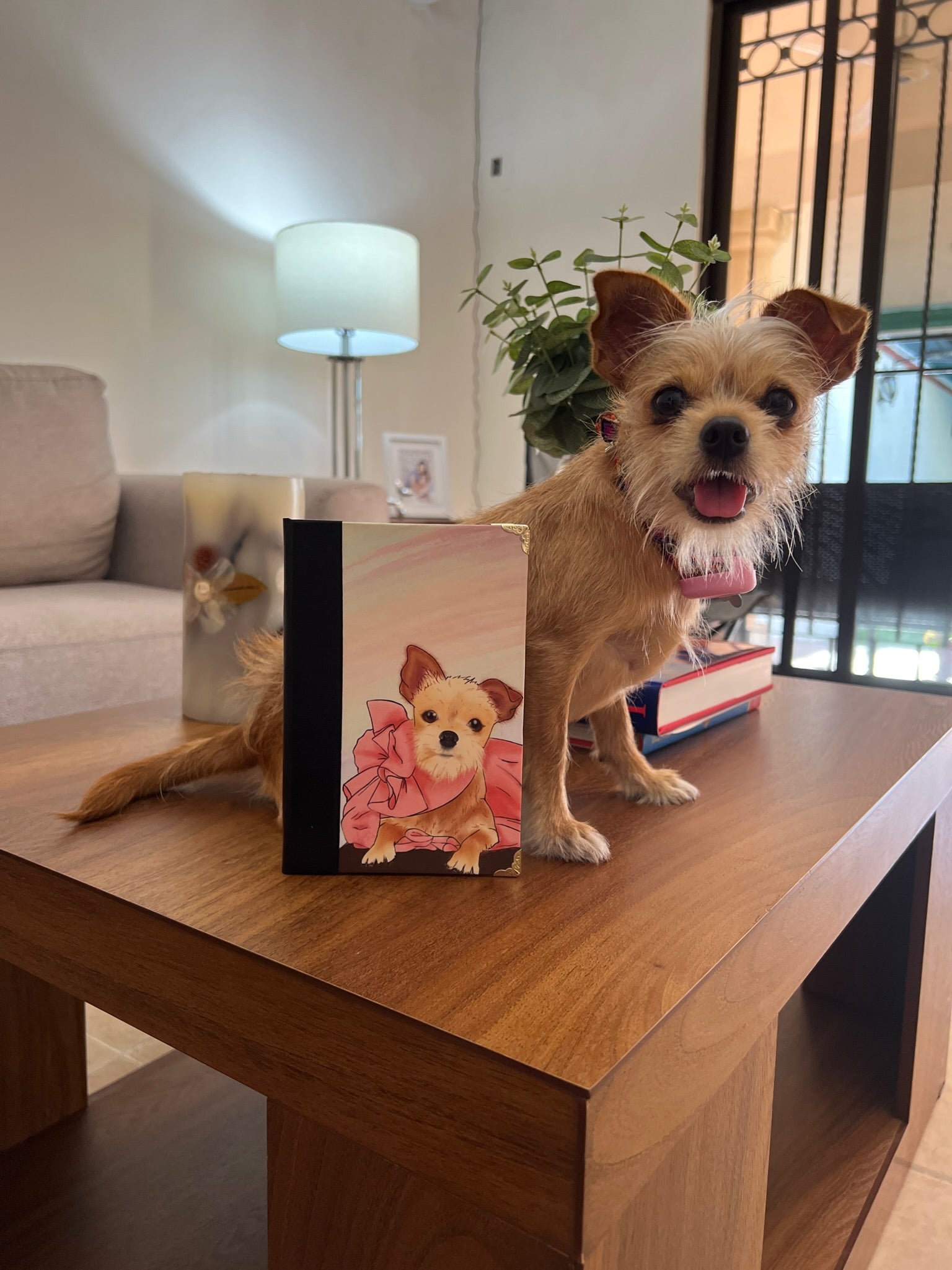 Portrait + Pocketbook