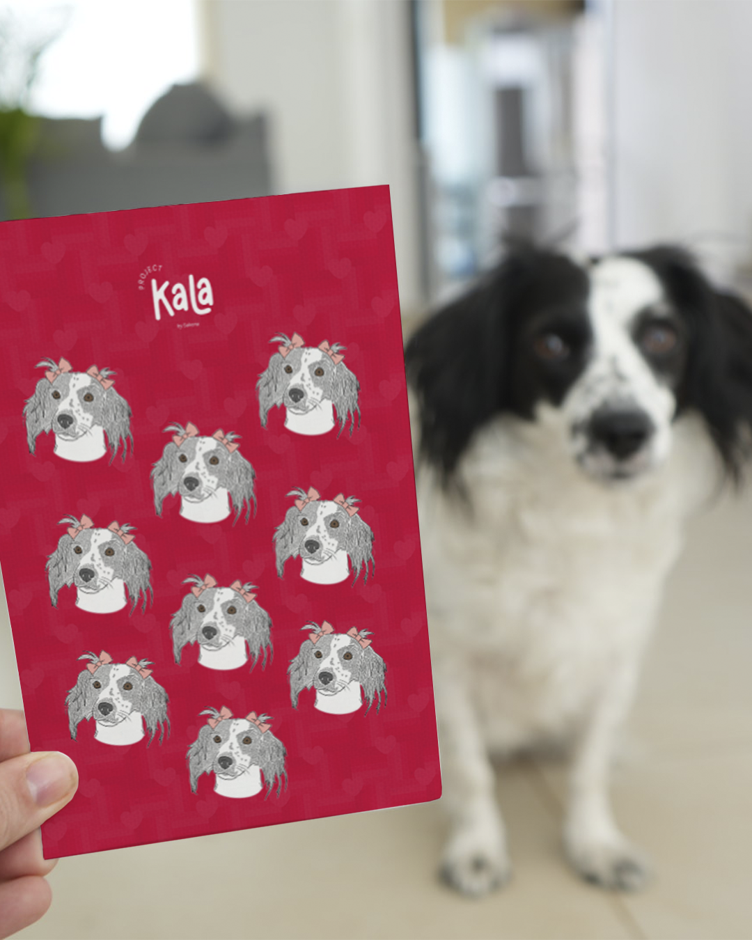 Line Pawrt + Stickers